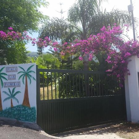 Finca Las Palmeras إيكود ذي لوس فينوس المظهر الخارجي الصورة