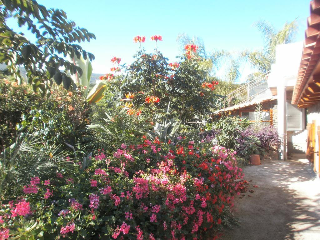 Finca Las Palmeras إيكود ذي لوس فينوس الغرفة الصورة