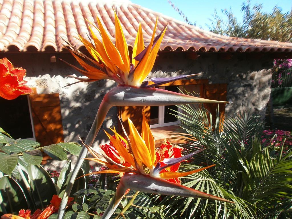 Finca Las Palmeras إيكود ذي لوس فينوس المظهر الخارجي الصورة