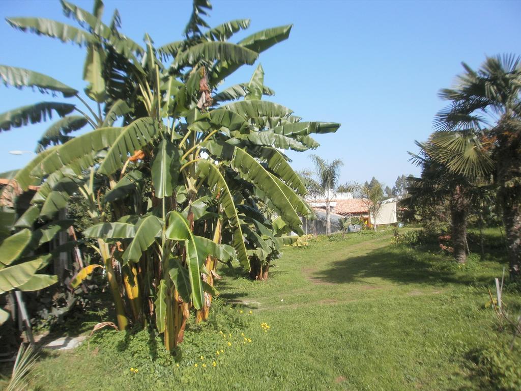 Finca Las Palmeras إيكود ذي لوس فينوس الغرفة الصورة