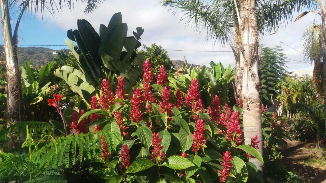 Finca Las Palmeras إيكود ذي لوس فينوس المظهر الخارجي الصورة